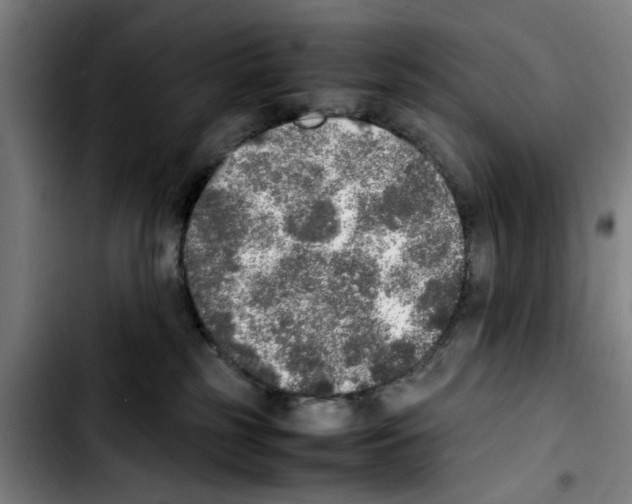 X0000103430185200810241107