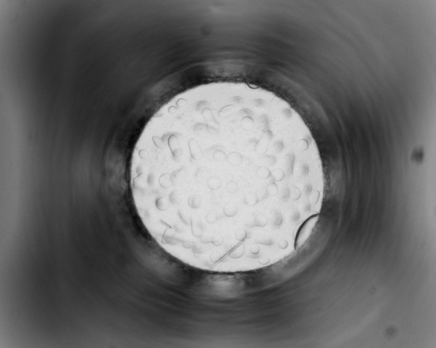 X0000103430187200810241107
