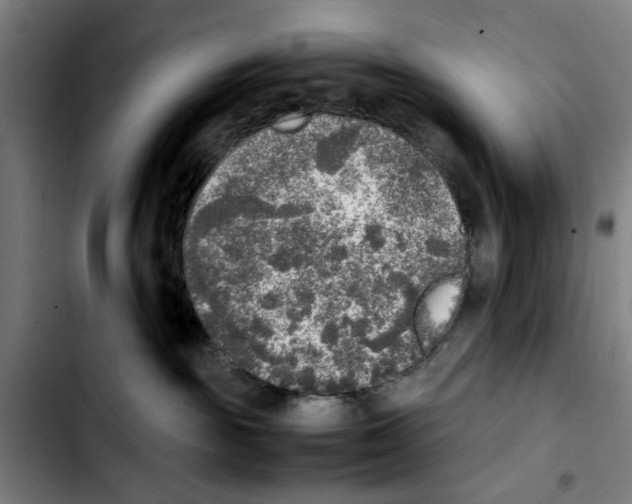 X0000103430189200810241107