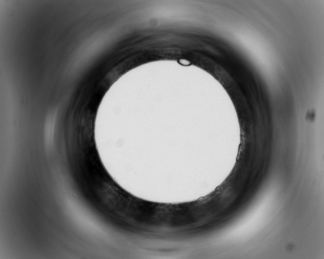 X0000103430190200810241107