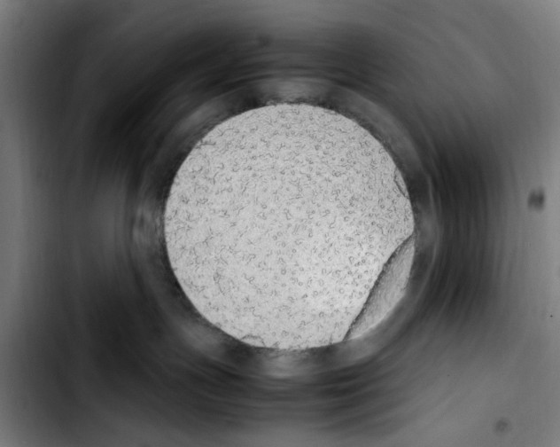 X0000103430191200810241107