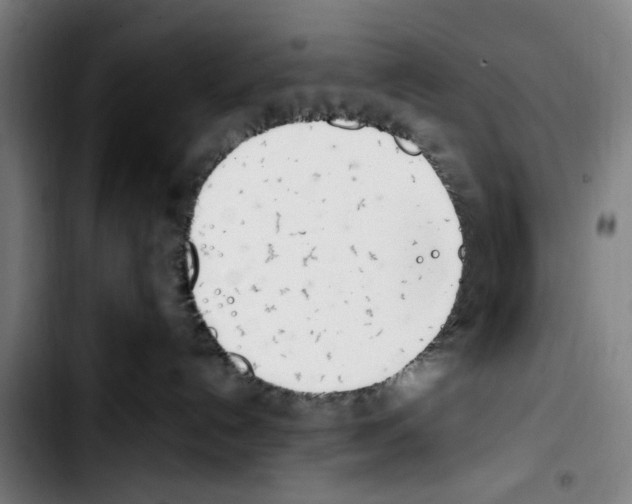X0000103430192200810241107