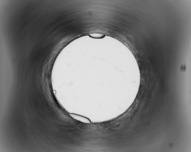 X0000103430193200810241106