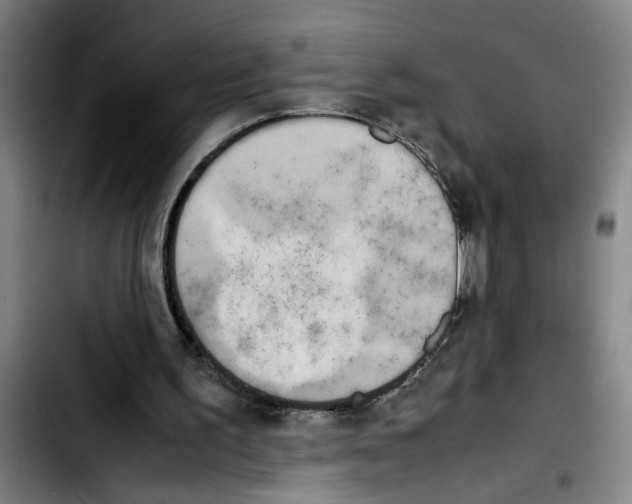 X0000103430195200810241106