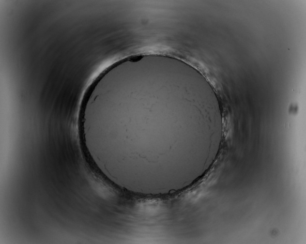 X0000103430196200810241106