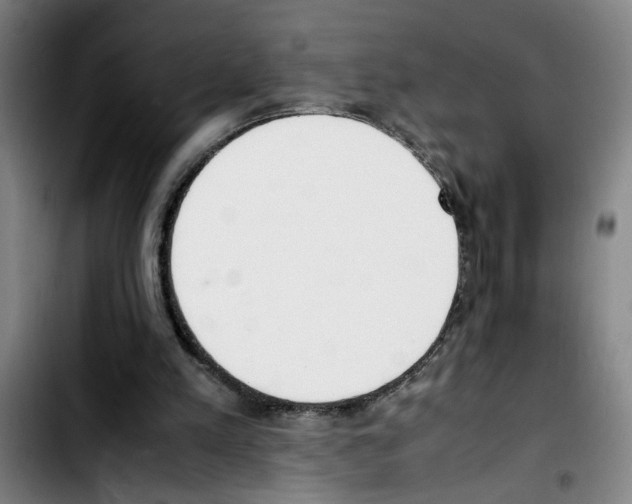 X0000103430197200810241106