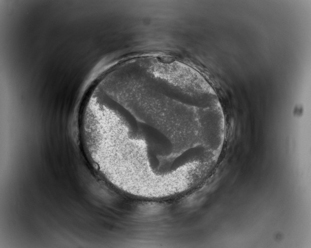 X0000103430198200810241106