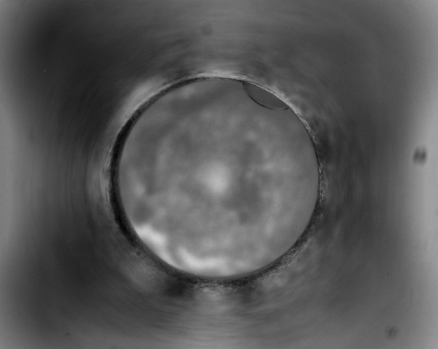 X0000103430199200810241106