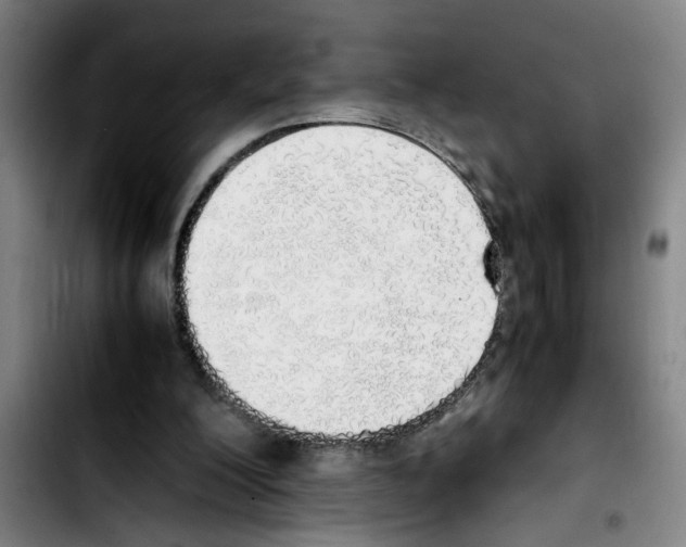 X0000103430200200810241106