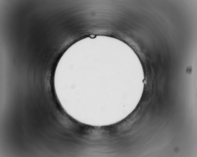 X0000103430201200810241106