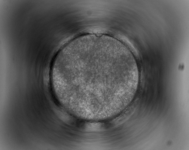 X0000103430202200810241106