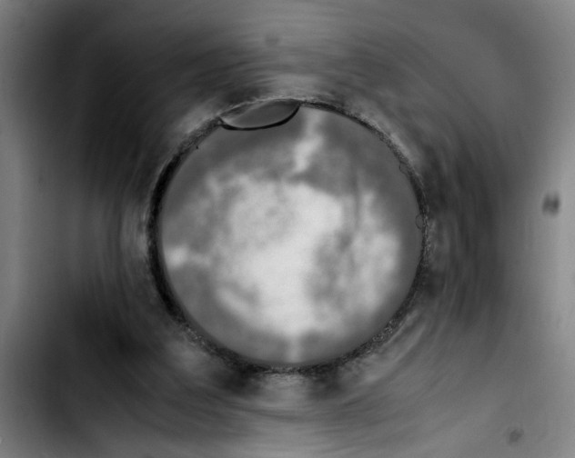 X0000103430203200810241106