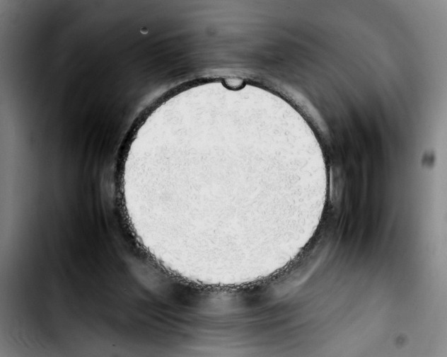 X0000103430204200810241106