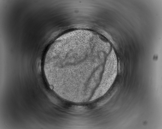 X0000103430205200810241106