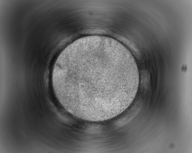 X0000103430206200810241106