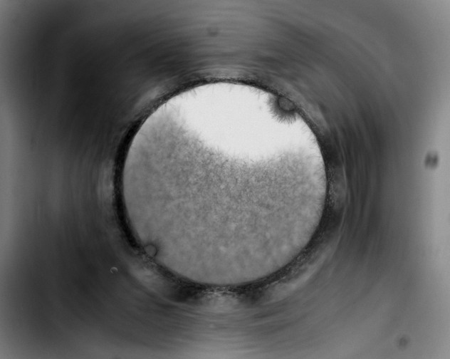 X0000103430207200810241106