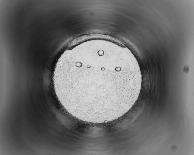 X0000103430208200810241106