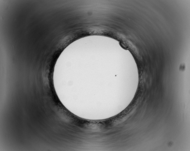 X0000103430209200810241106