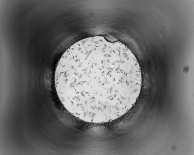 X0000103430210200810241106