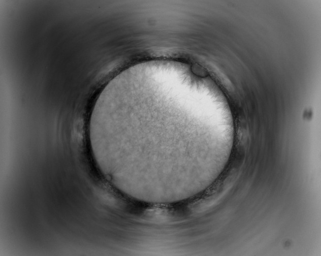 X0000103430211200810241106