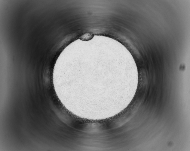 X0000103430212200810241106