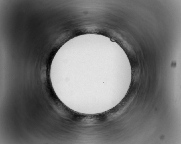 X0000103430213200810241106