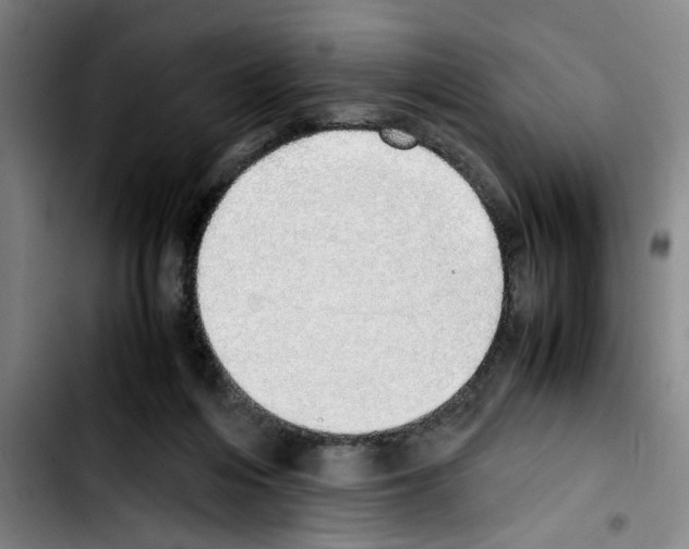 X0000103430216200810241106