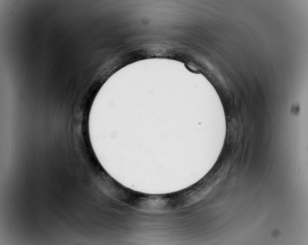 X0000103430217200810241106