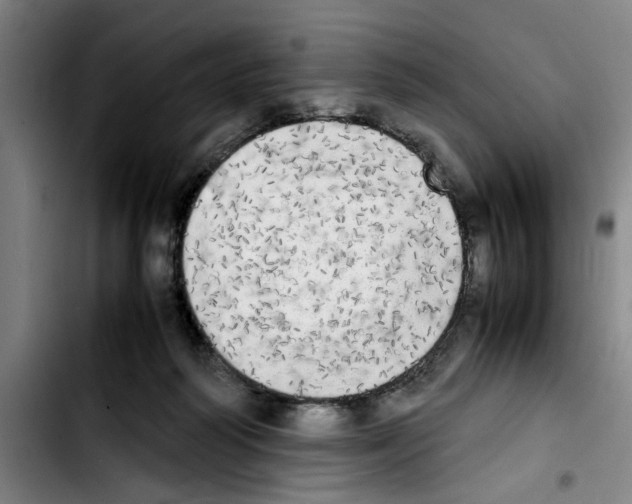 X0000103430218200810241106