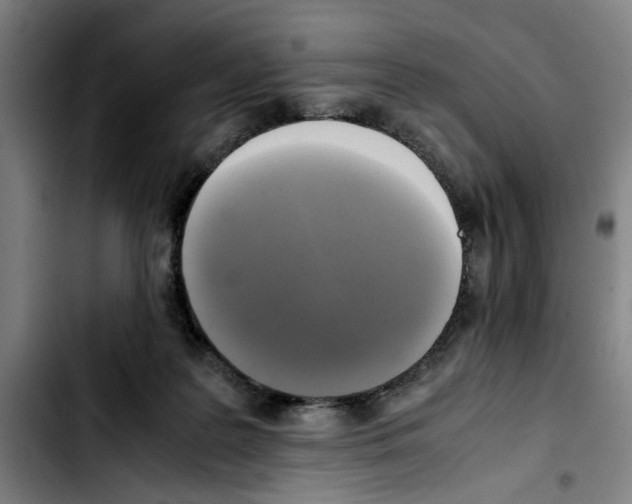 X0000103430219200810241106