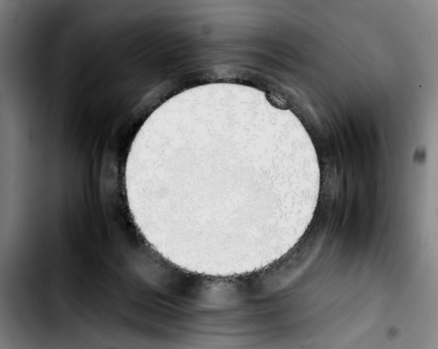 X0000103430220200810241106