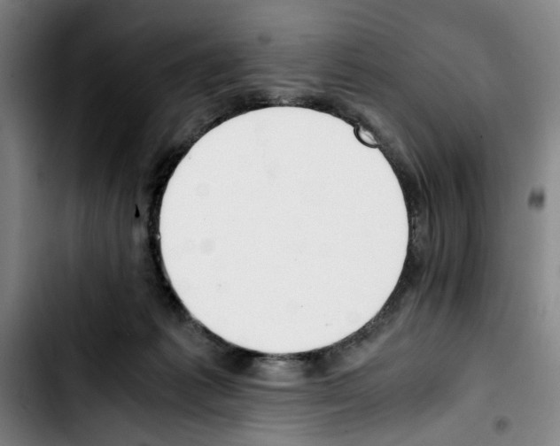 X0000103430221200810241106