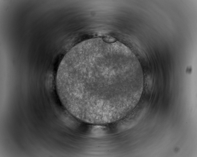 X0000103430222200810241106