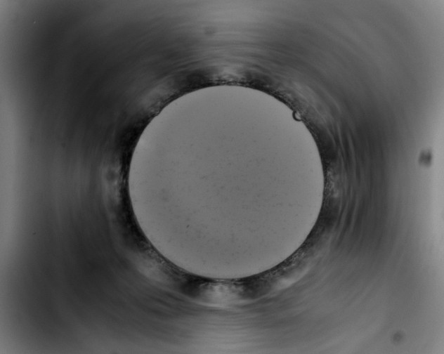 X0000103430223200810241106