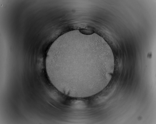 X0000103430224200810241106