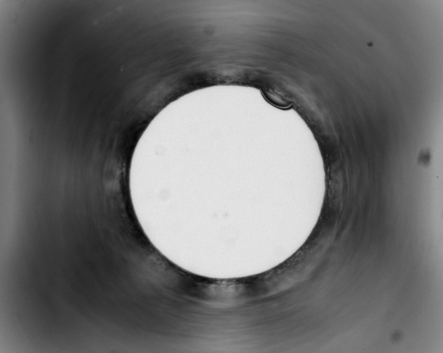 X0000103430225200810241106