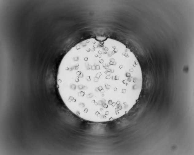 X0000103430226200810241106