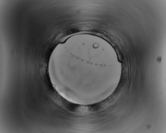 X0000103430227200810241106