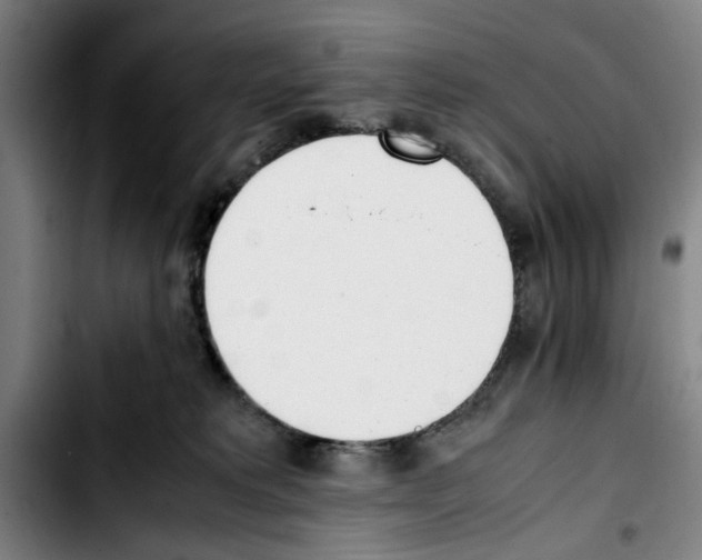 X0000103430229200810241106