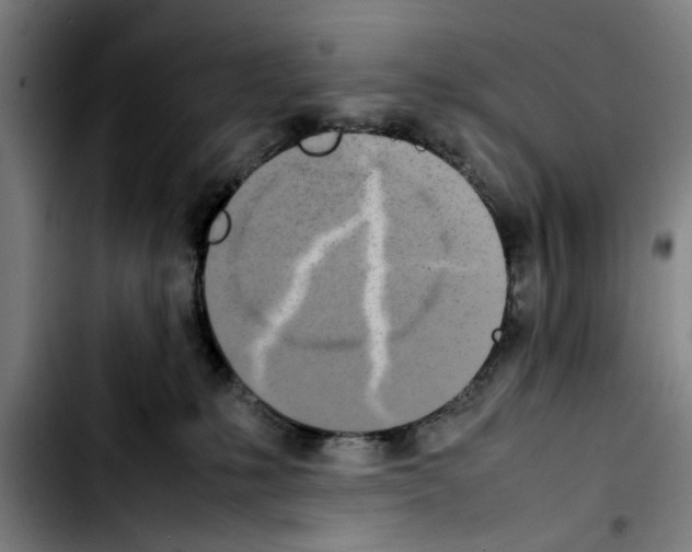 X0000103430231200810241106