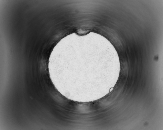 X0000103430232200810241106
