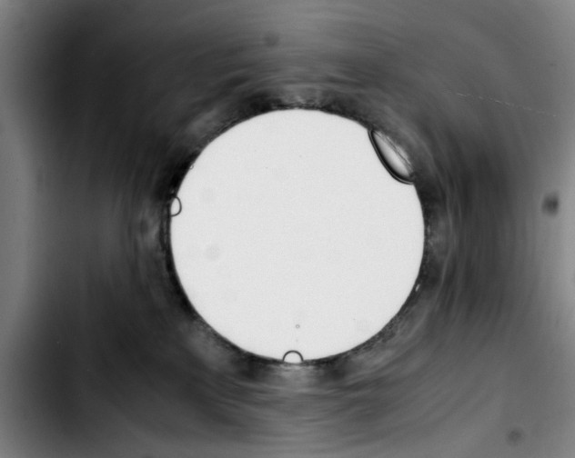 X0000103430233200810241106
