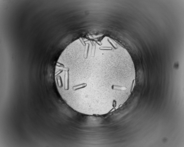 X0000103430234200810241106