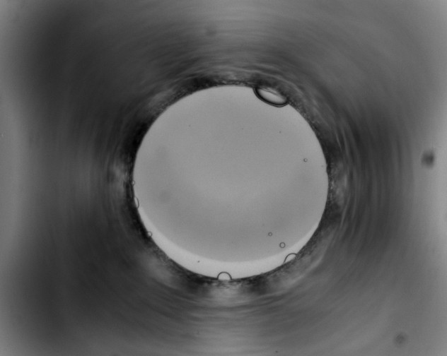 X0000103430235200810241106