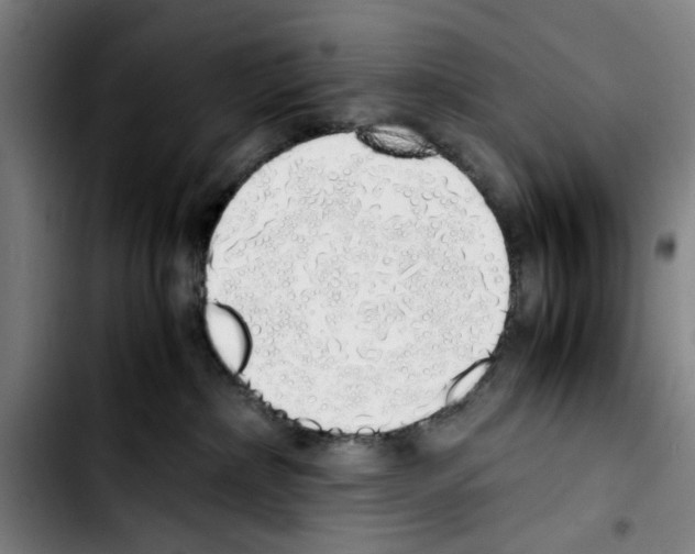 X0000103430236200810241106