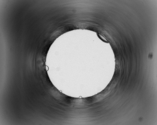 X0000103430237200810241106