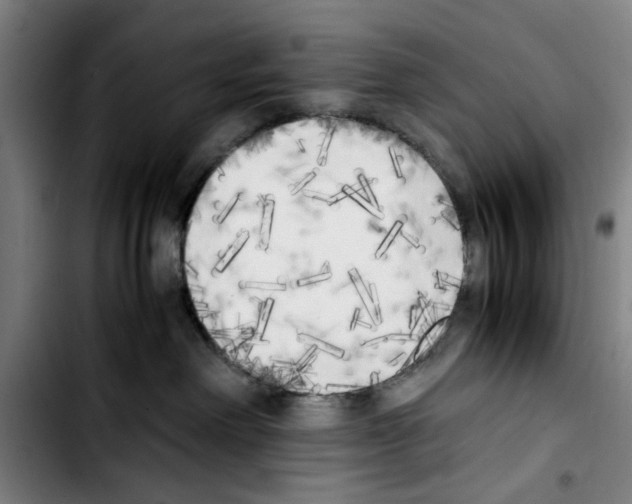 X0000103430238200810241106