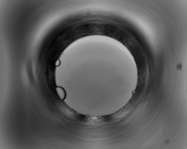 X0000103430239200810241106