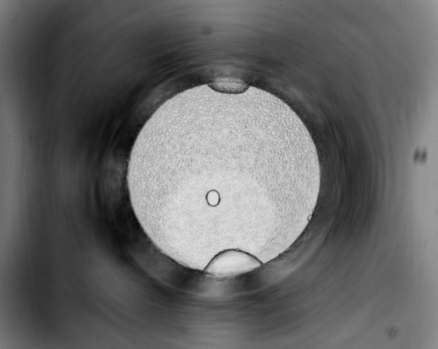 X0000103430240200810241106