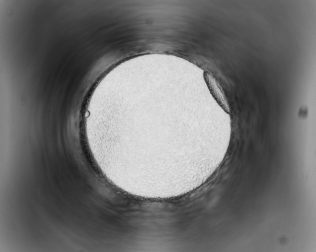 X0000103430242200810241105